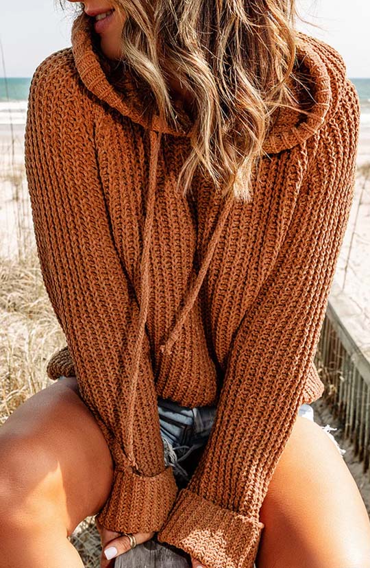 Cozy Up Hooded Sweater